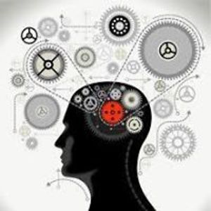 gourdian_mind avatar