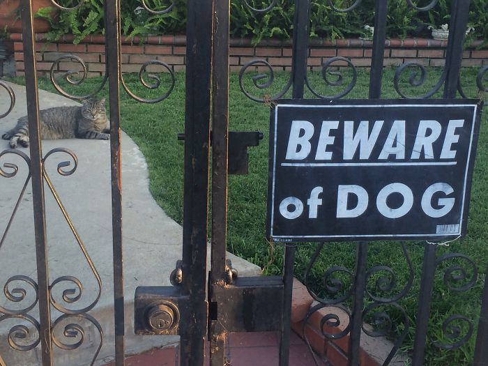 Walking Down L.a. Street When A “Beware Of Dog” Sign Was Inaccurate