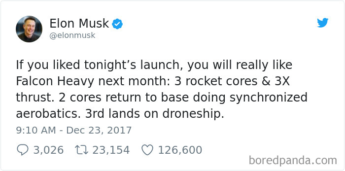 Woman Tries To Attack Elon Musk On Twitter, Doesn't Expect A Response Like This