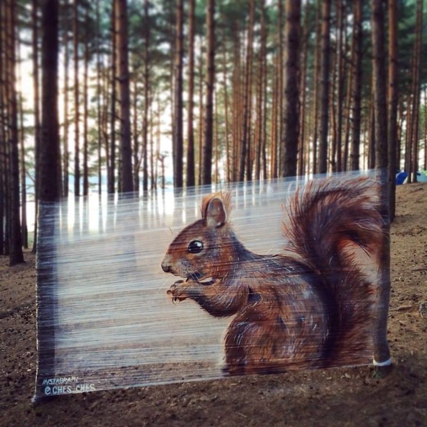 I Spray-Paint Animals On Plastic Wrap In The Forest