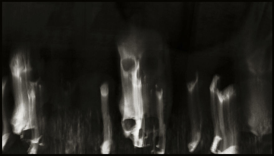 Skulls Photography By Augusto De Luca Skulls Photography By Augusto De Luca