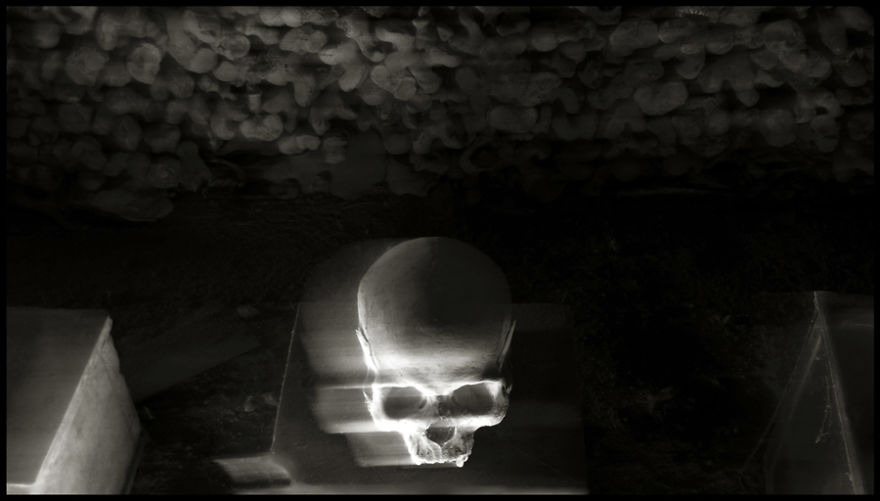 Skulls Photography By Augusto De Luca Skulls Photography By Augusto De Luca