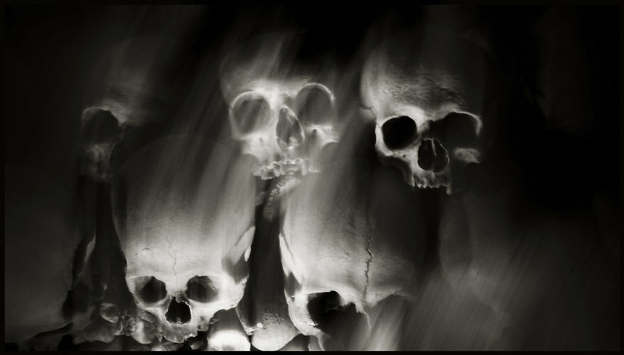 Skulls Photography By Augusto De Luca Skulls Photography By Augusto De Luca