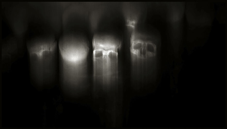 Skulls Photography By Augusto De Luca Skulls Photography By Augusto De Luca
