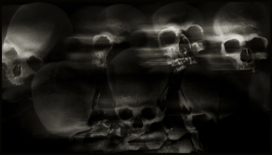 Skulls Photography By Augusto De Luca Skulls Photography By Augusto De Luca