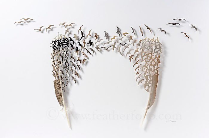 Chris Maynard Carves Feathers Into Intricate Art