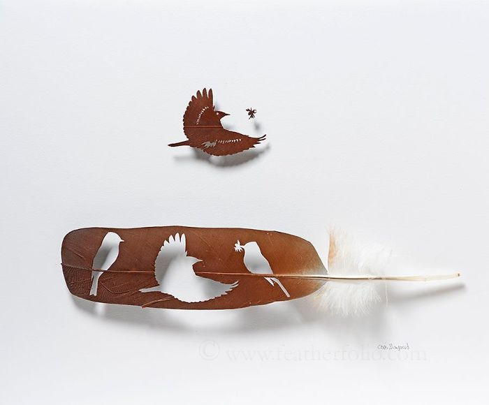 Chris Maynard Carves Feathers Into Intricate Art