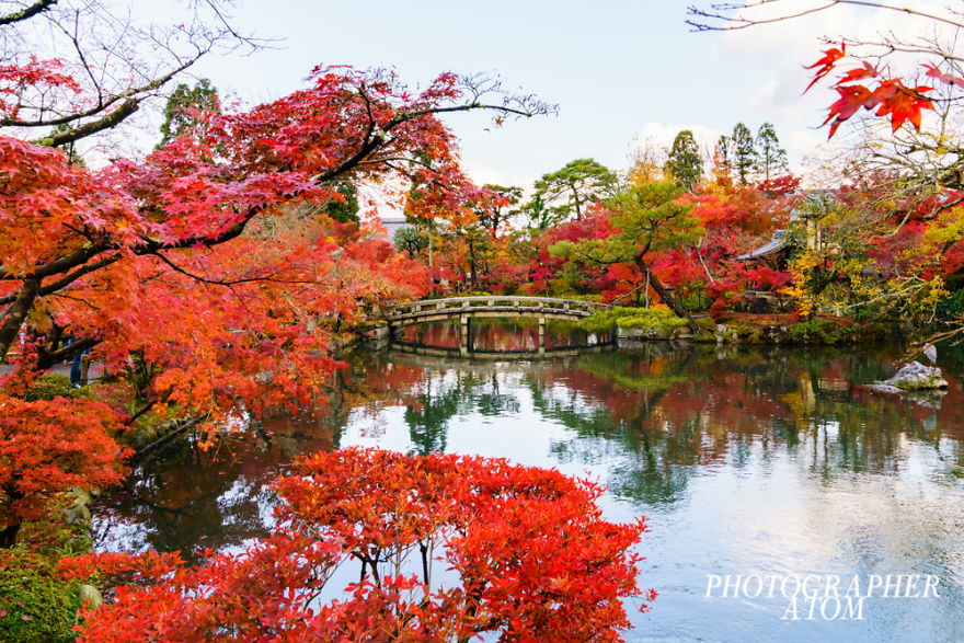 I Photographed Japanese Autumn