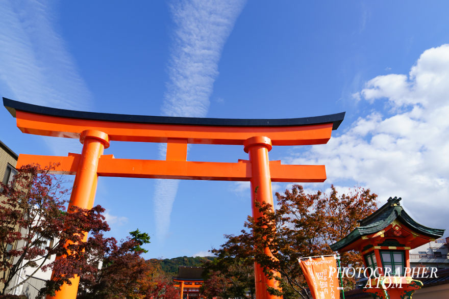 I Photographed Japanese Autumn
