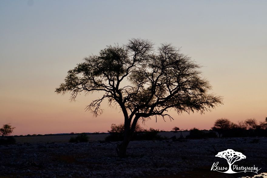 A Trip To Namibia A Trip To Namibia