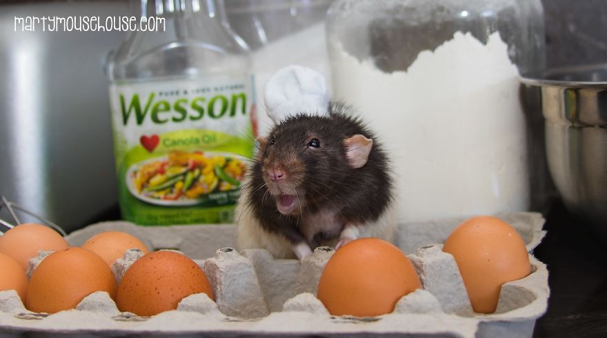 This Adorable Rat Chef Will Help You Make Cookies!