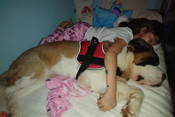 Girl Became Depressed After She Lost Her Vision, But Then She Met A Dog Who Changed Her Life Girl Became Depressed After She Lost Her Vision, But Then She Met A Dog Who Changed Her Life