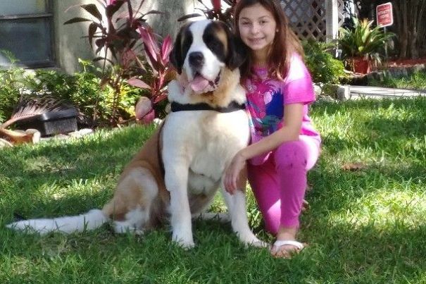 Girl Became Depressed After She Lost Her Vision, But Then She Met A Dog Who Changed Her Life Girl Became Depressed After She Lost Her Vision, But Then She Met A Dog Who Changed Her Life