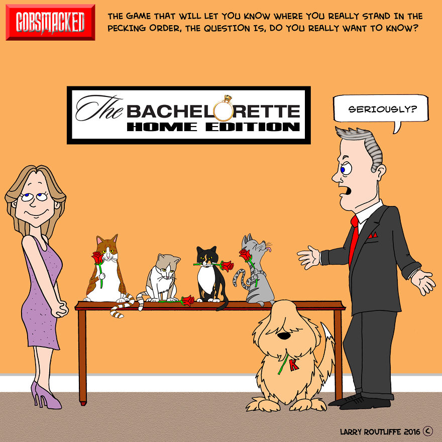 I Draw Cartoons Based On Things That Amuse Me, Anger Me And Make Me Say Wtf?