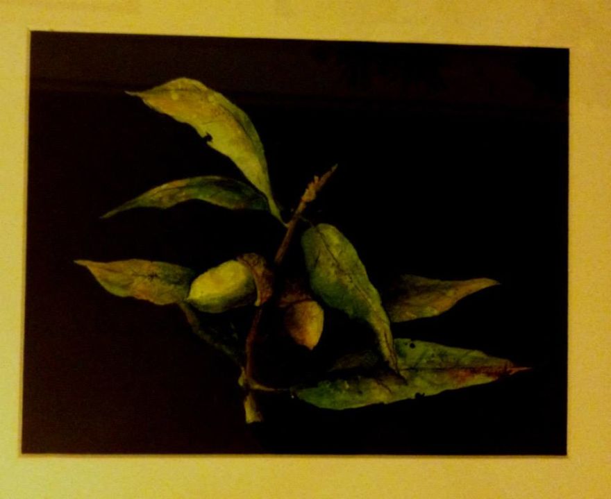 These Detailed Paintings Of Trees And Leaves Focus On Damage, Imperfection And Fragility.