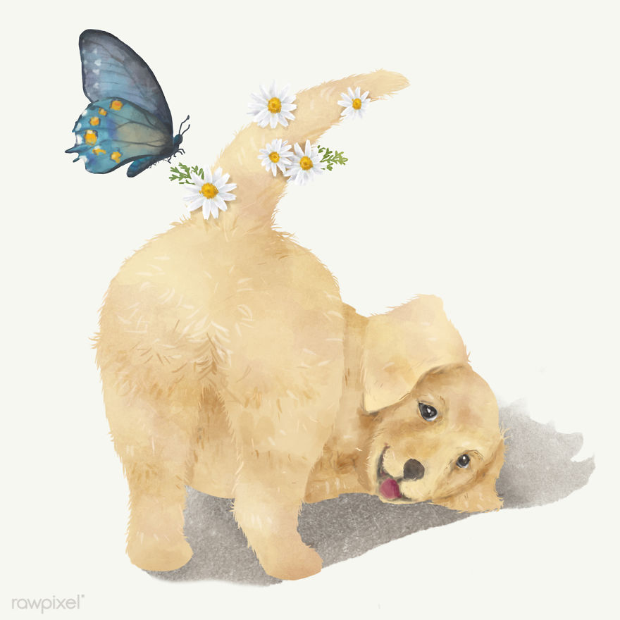 I Created Digital Drawings Of Adorable Animals And Made The Collection Free For One Week