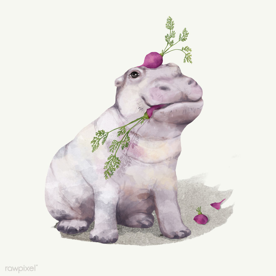 I Created Digital Drawings Of Adorable Animals And Made The Collection Free For One Week