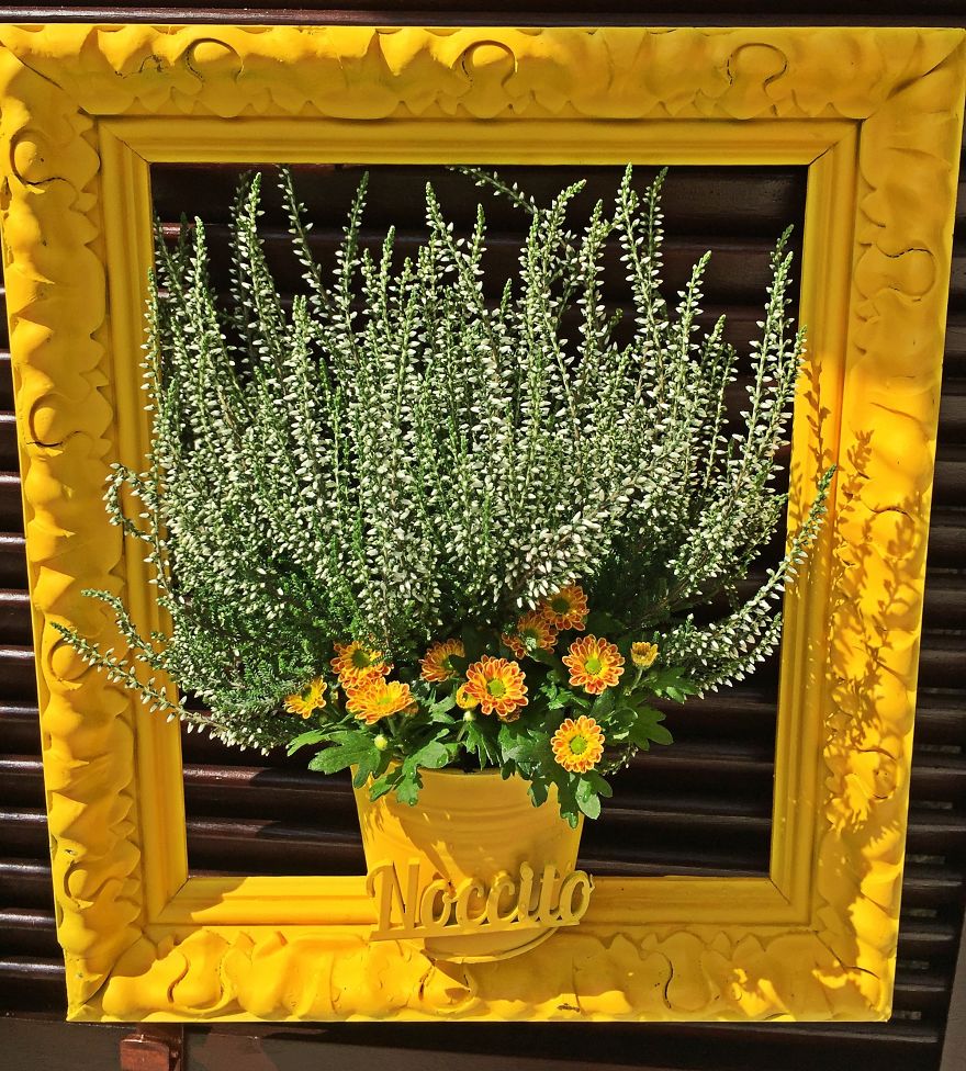 I Install Colorful Flowers In Wooden Frames All Over Cities