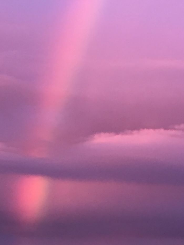 My Dog Woke Me Up Early Wanting To Go Out And When I Took Him I Managed To Get A Photo Of A Pink Rainbow