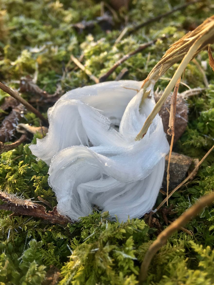 Elsa, Eat Your Heart Out! These Frost Flowers Are Real Material For A Frozen Fantasy