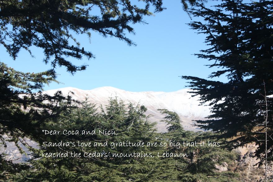 Cedars' Mountains, Lebanon