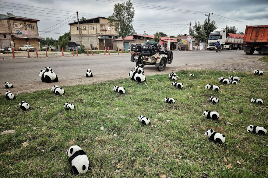 Panda invazie pe străzile din Iran