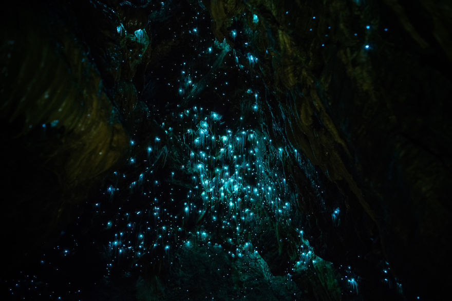 Glow Worms Turn New Zealand Cave Into Starry Night And I Spent Past Year Photographing It (Part 2)