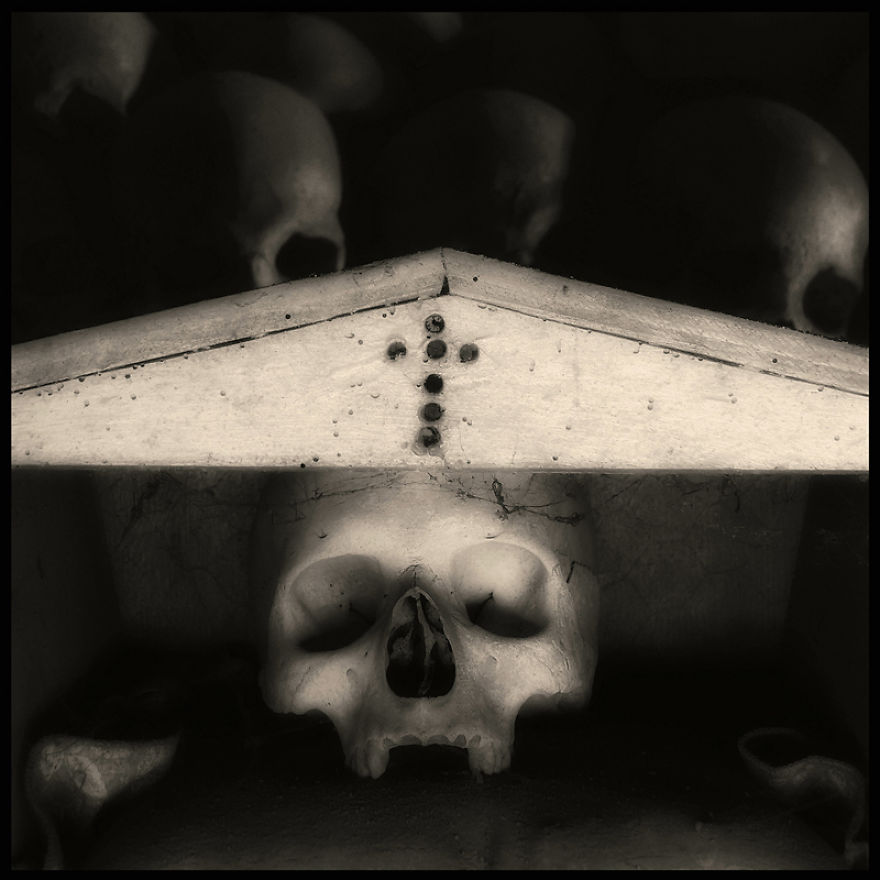 Skulls Photography By Augusto De Luca Skulls Photography By Augusto De Luca