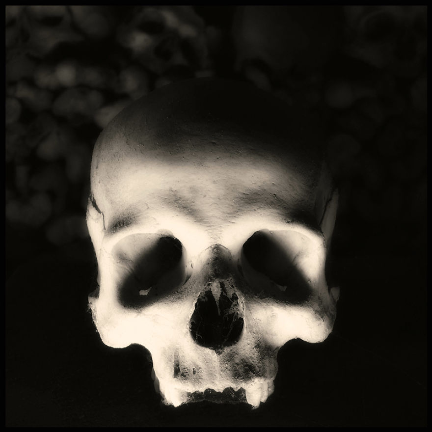 Skulls Photography By Augusto De Luca Skulls Photography By Augusto De Luca