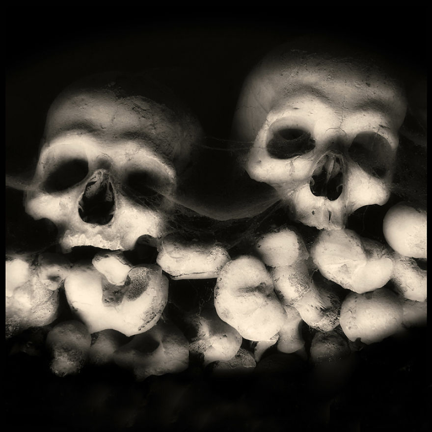Skulls Photography By Augusto De Luca Skulls Photography By Augusto De Luca