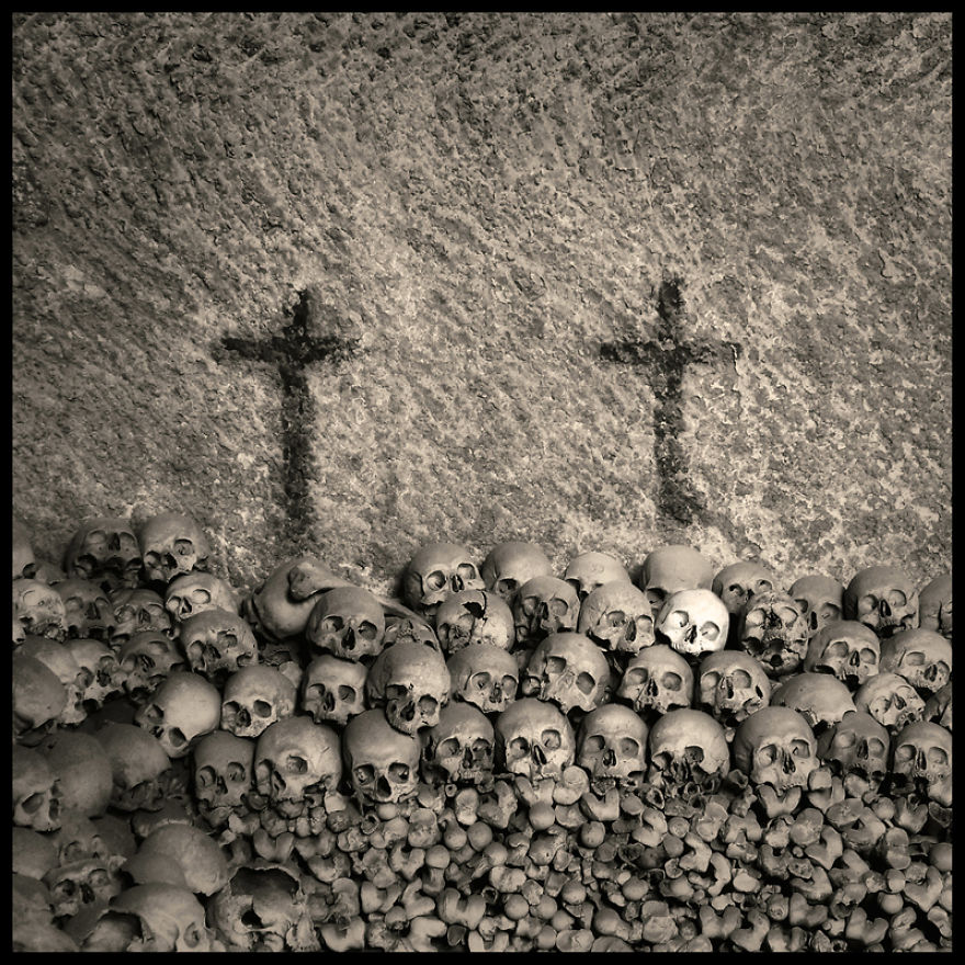 Skulls Photography By Augusto De Luca Skulls Photography By Augusto De Luca