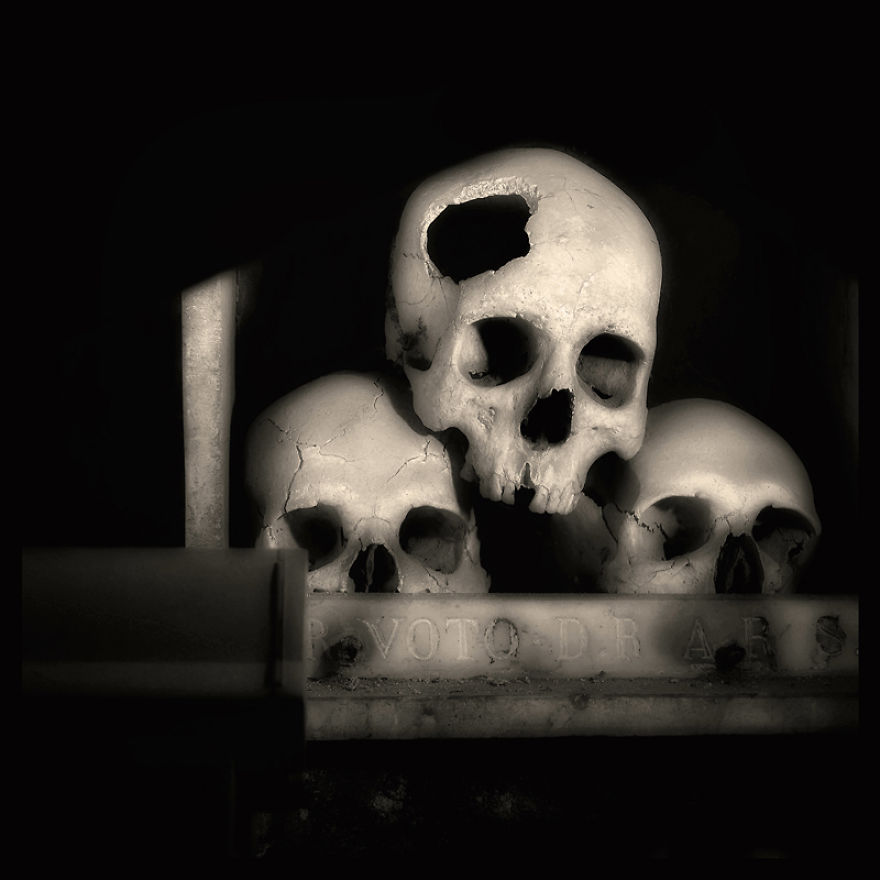 Skulls Photography By Augusto De Luca Skulls Photography By Augusto De Luca