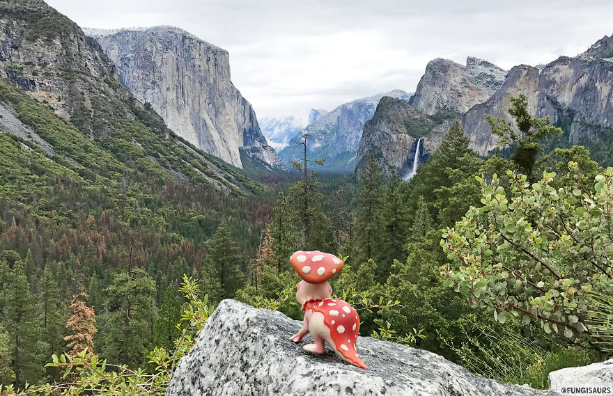 These Dinosaur-Mushroom Toys Have Traveled More Than Most People