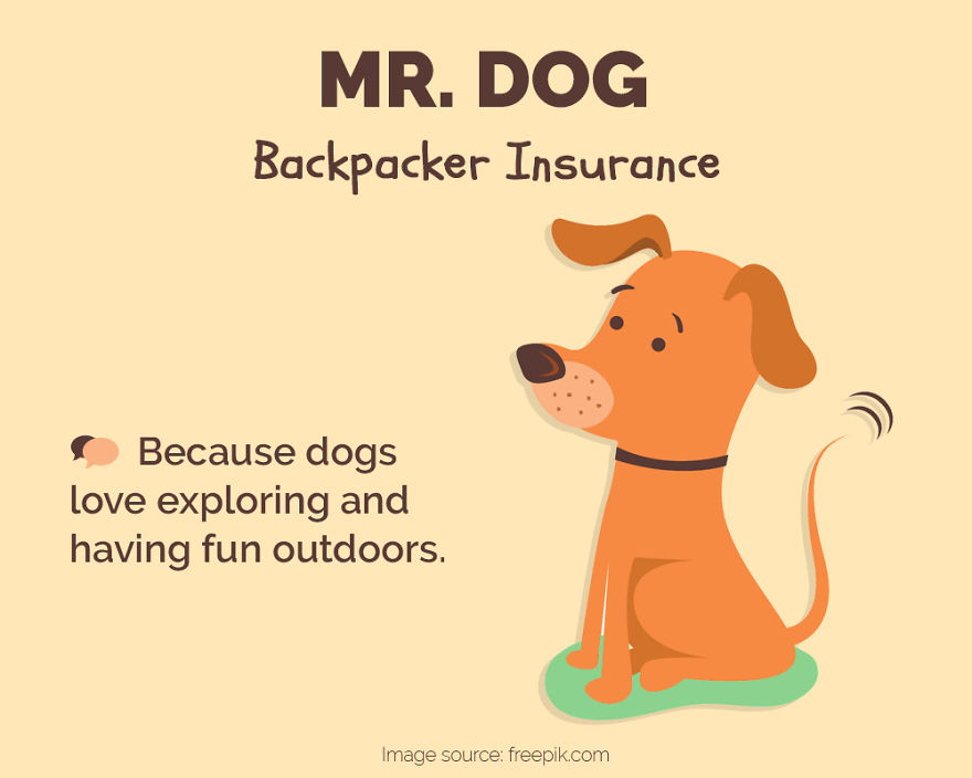 What If Animals Could Choose Travel Insurance? This Is What They Would Choose...