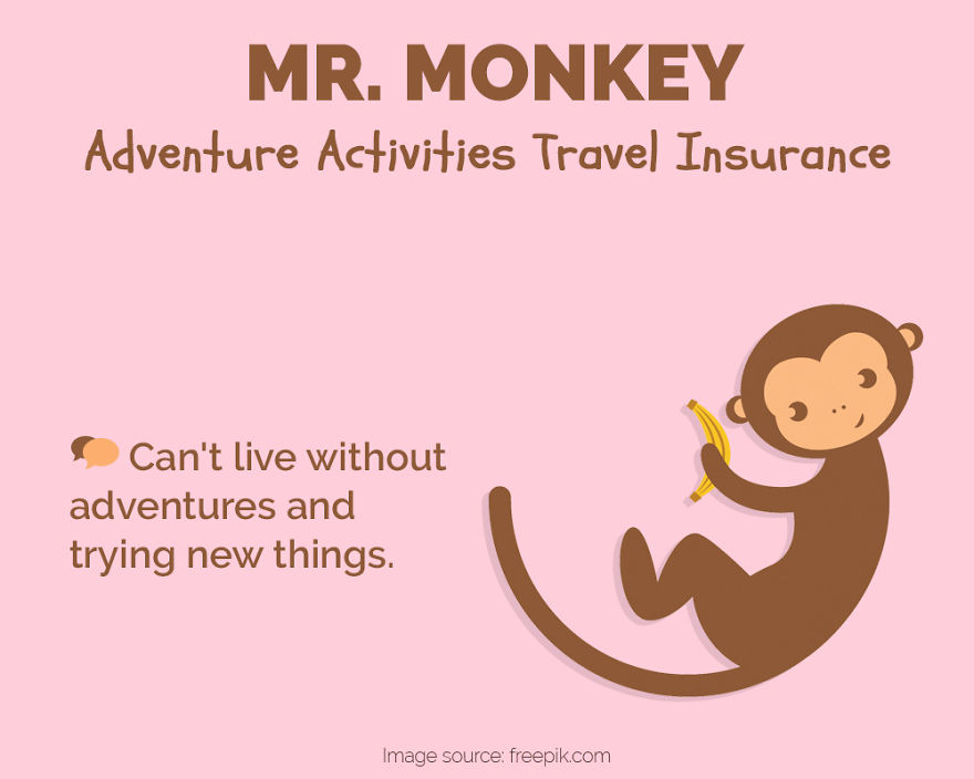 What If Animals Could Choose Travel Insurance? This Is What They Would Choose...