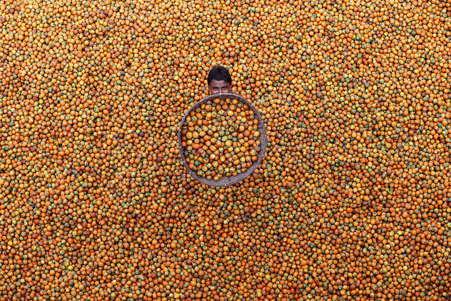Betel Nut By M. Yousuf Tushar (Honorable Mention In General Color Category)