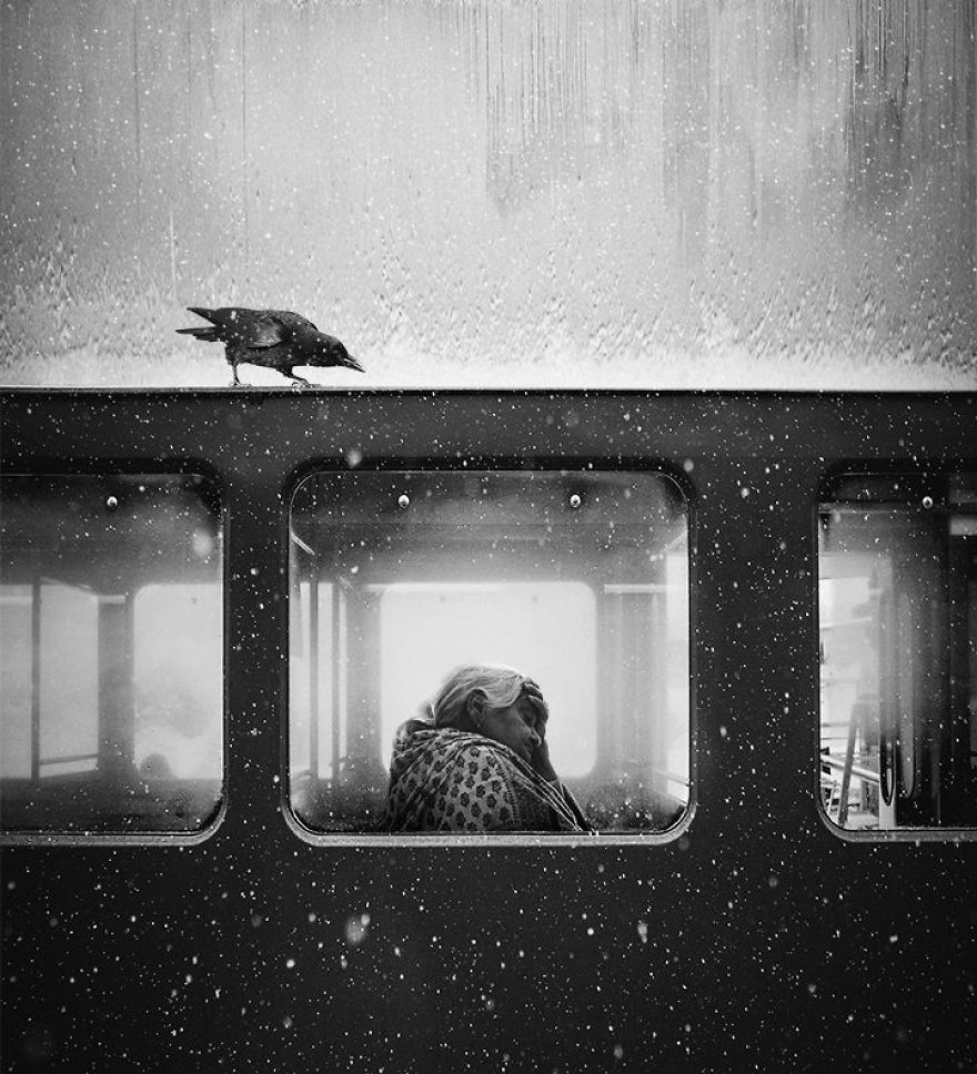 Crow Of Lviv By Jack Savage (1st In General Monochrome Category)