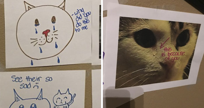 Daughter Tries To Guilt-Trip Her Dad Into Getting Her A Kitty, Gets The Best Response
