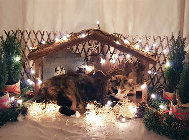 Christmas Is Cancelled By A Giant Cat That Squashed Baby Jesus And Ate The 3 Wise Men