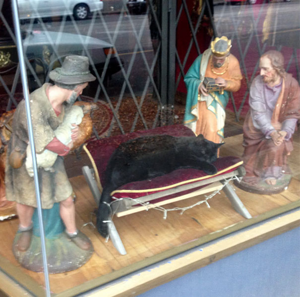 No Room For Baby Jesus