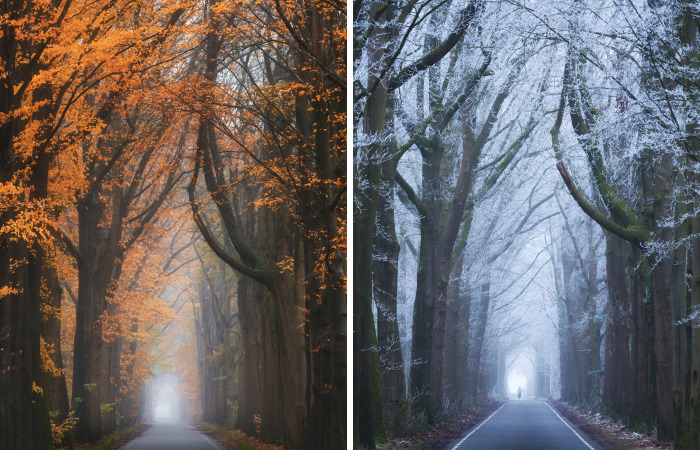 I Photographed The Exact Same Place During Different Times Of Year