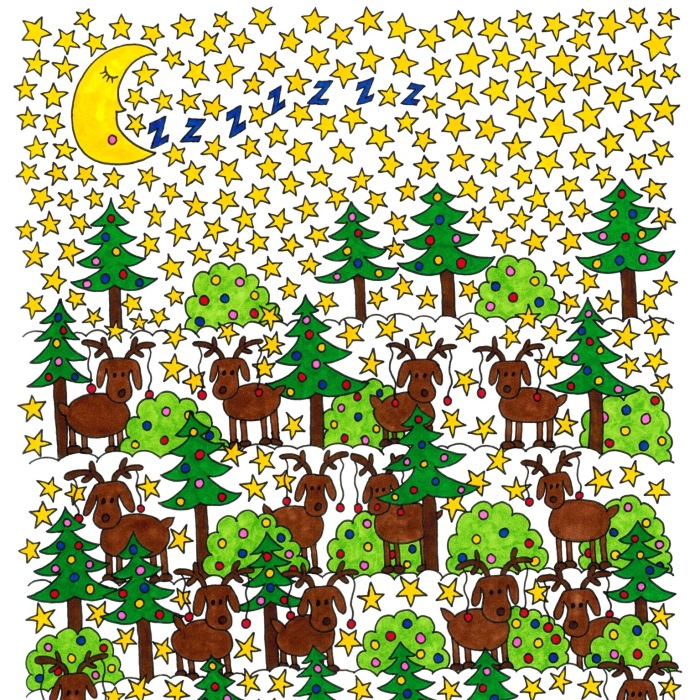 Can You Find Rudolph? How About The 6-Sided Star?