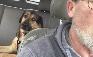 Woman Leaves Her Dog With Dad, Receives The Best Texts From Him
