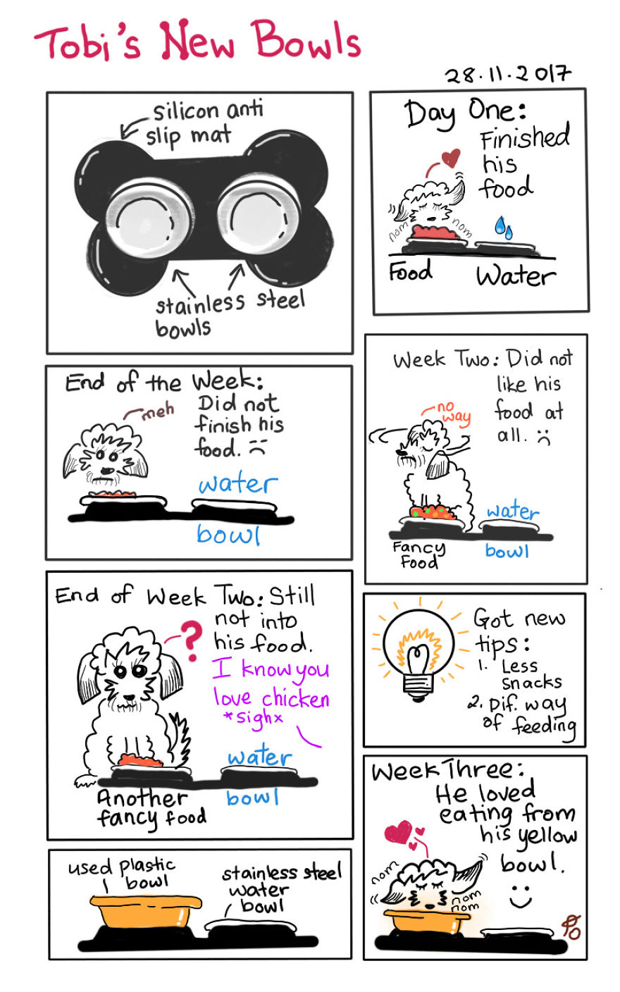 Bowls Confusion
