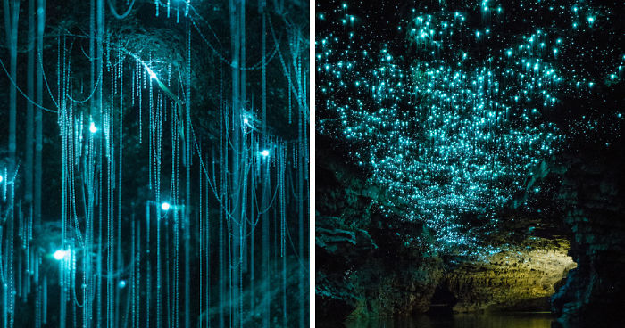 Glow Worms Turn New Zealand Cave Into Starry Night And I Spent