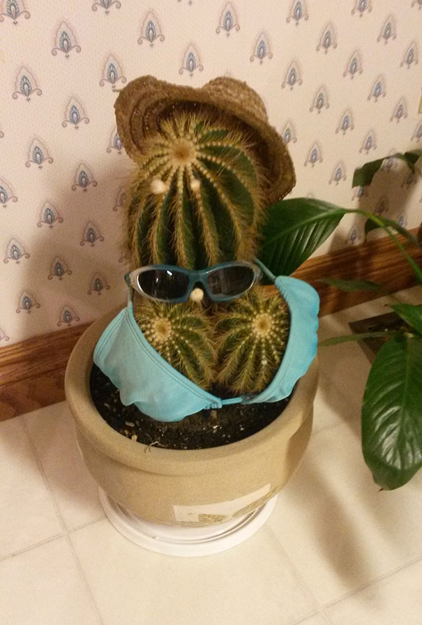 My Grandma's 20-Year-Old Cactus, She Named It Dolly Parton