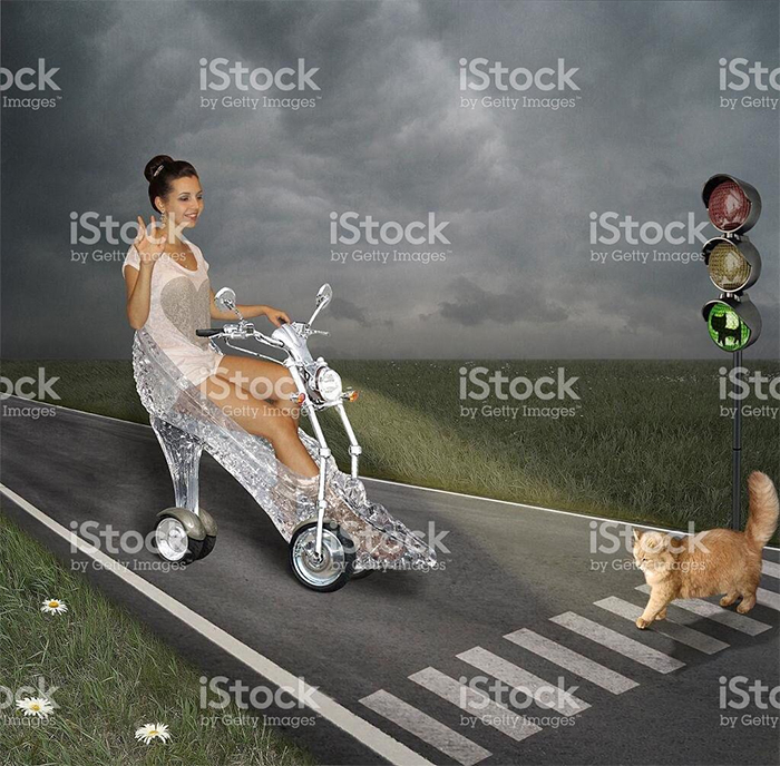 Woman is driving a shoe car and cat goes on road crossing