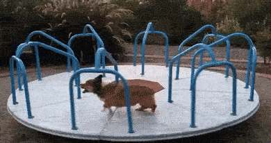 Running Dog
