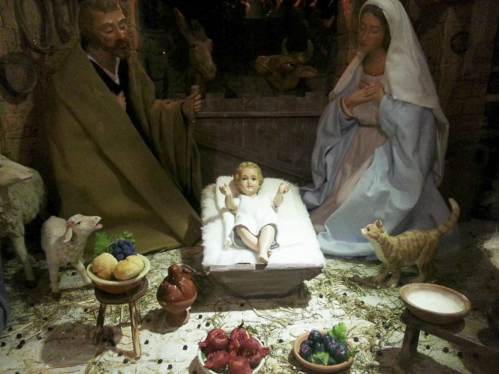 Everyone Can't Stop Laughing After This Grumpy Cat Crashed A Nativity Scene In NYC