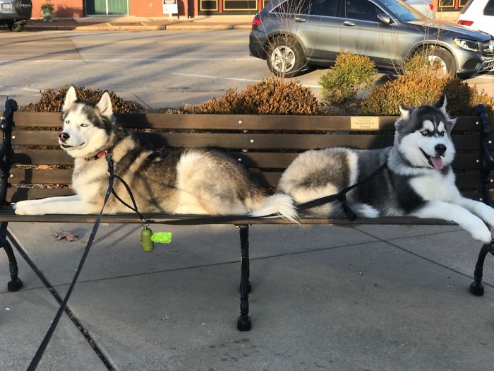 Adorably Plotting